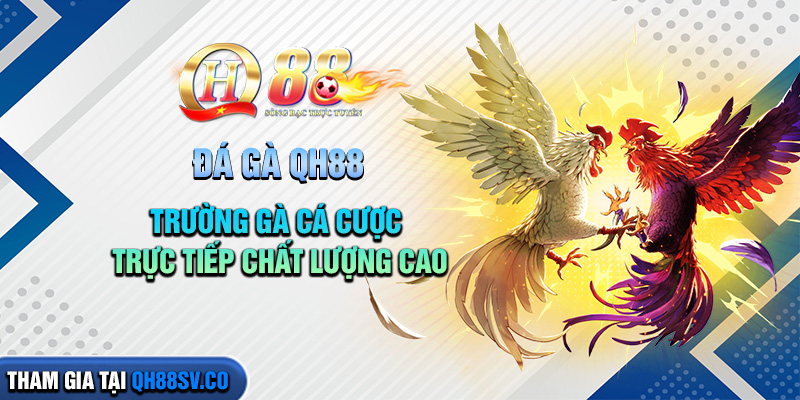 da-ga-qh88-truong-ga-ca-cuoc-truc-tiep-chat-luong-cao