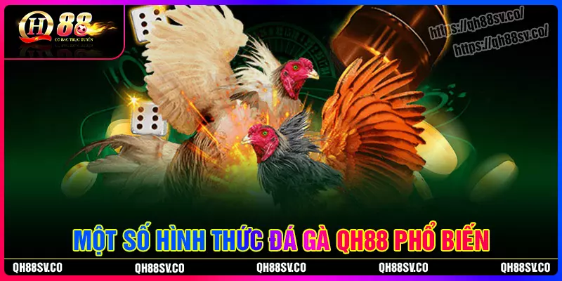 Điểm danh một số hình thức đá gà QH88 hot nhất Điểm danh một số hình thức đá gà QH88 hot nhất