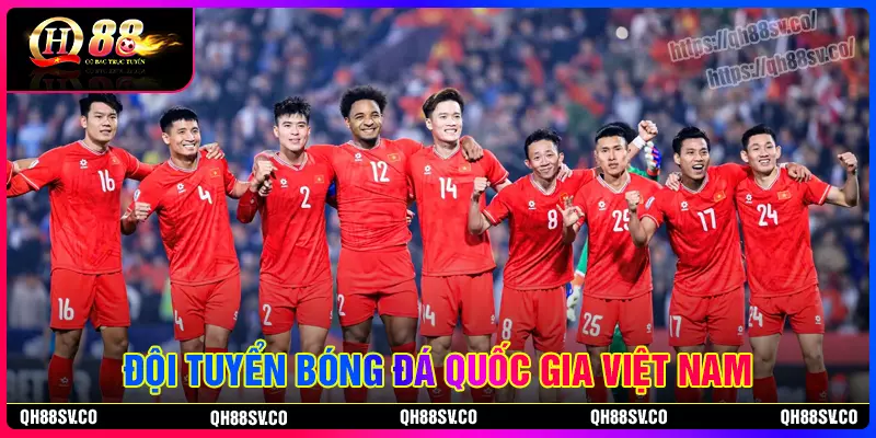 Giới thiệu về đội tuyển bóng đá việt nam Giới thiệu về đội tuyển bóng đá việt nam