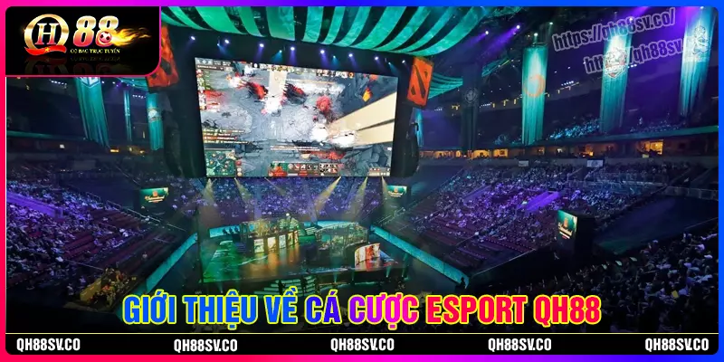 Giới thiệu về Esport QH88 Giới thiệu về Esport QH88